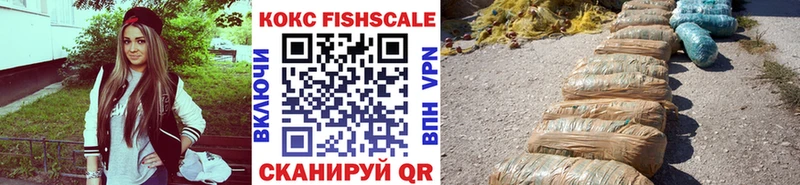 купить закладку  Злынка  COCAIN Эквадор 