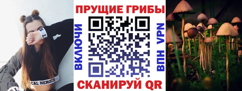 Галлюциногенные грибы MAGIC MUSHROOMS  Злынка 