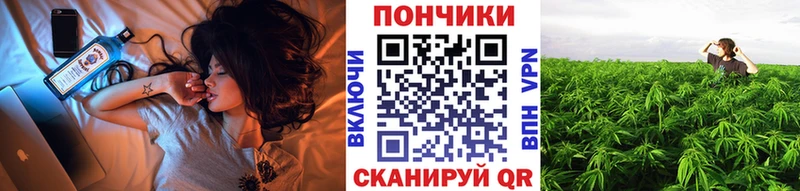 Марихуана семена  как найти закладки  Злынка 